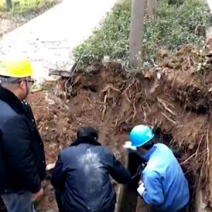 ��ĩ���ړ���æ