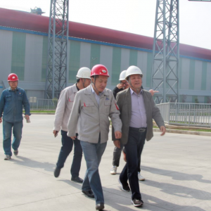 ʡ���Yί����Mһ���W�R��˾�z��ָ������