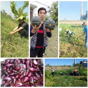 70�A�Q���҂��@�Ӟ����c��