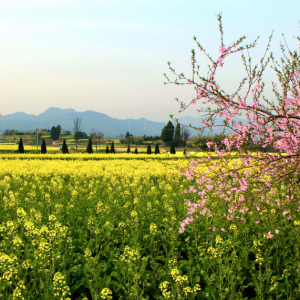 ������ů���_