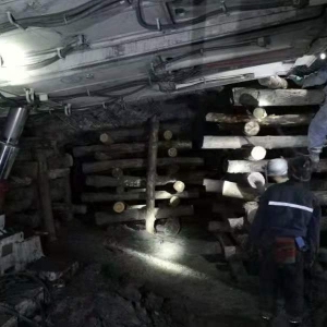 �V�I��˾ұƺú�V1301������س��A�M���