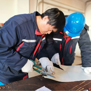 ĥ�Z����  ��P�r����������