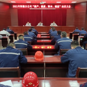 ꖘO�ֹ�˾���_2021�ꡰ��a(ch��n)�����|(zh��)����������Ч����(d��ng)�T���(hu��)