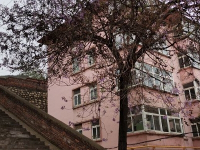 ���o����