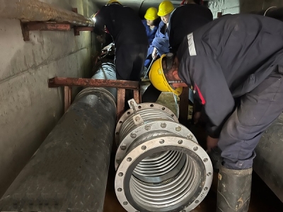 ���֊Z��ץ���� ȫ���Ը������a