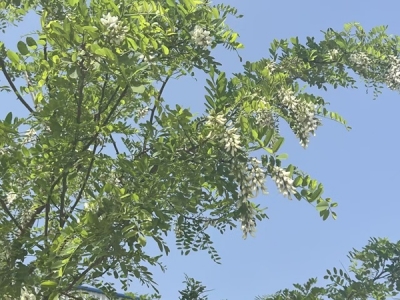 ��F���\�ϵ��ذ���_